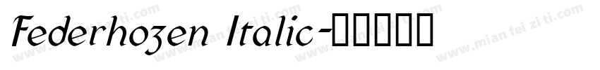 Federhozen Italic字体转换